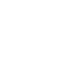 Logo-Argentina-Valores_letras blancas WEB