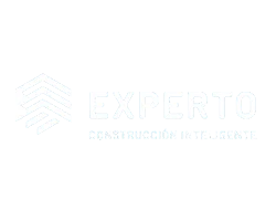 logo experto web