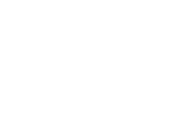 logo web hins