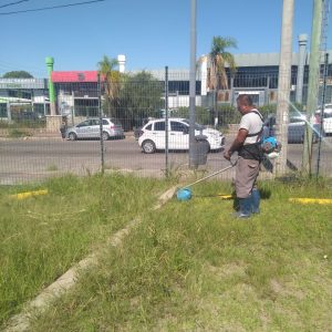 Espacios Verdes 4