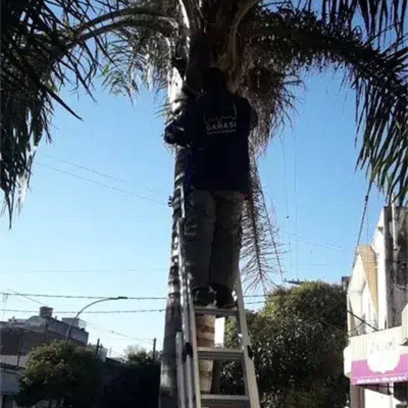 IMG-20200320-WA0047-prueba1