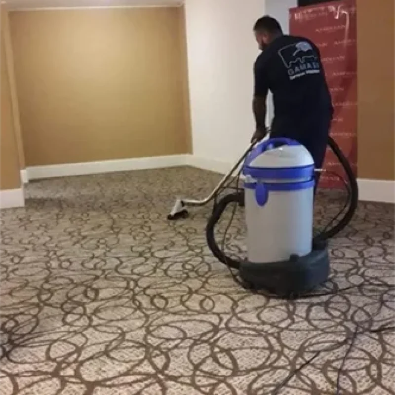 limpieza_interior_alfombras-prueba1